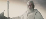 The offical fellowship of the ring