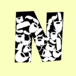 _N_