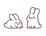 Chubby Bunniessss