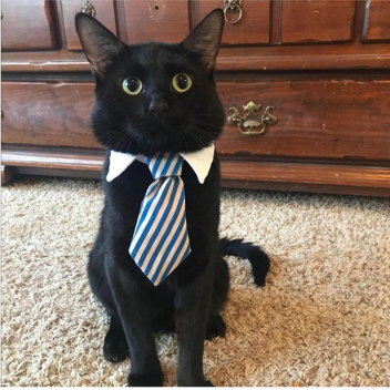 fighting place with a rejected name