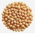 The Soy Family