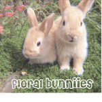 floral bunniies