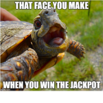 I liek turtless :DD