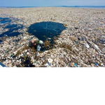 we only have one earth