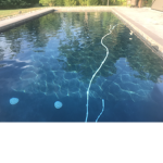 Swim fans