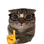 Flying cat squad unite