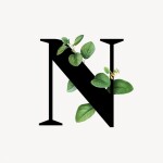 Letter N