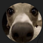 The fortnite kid on YT