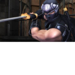 Ninja Master King !!