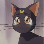 MEEEOOOWWW!
