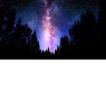StarLight ######