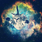 Space Cat Nation