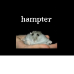 platnum on yt