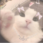 cutie44