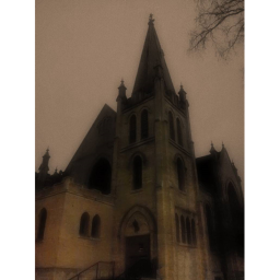 The Church