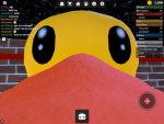 <Ducky Academy>