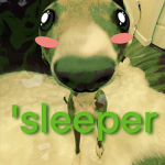 'sleeper