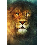 ASLAN CLAN