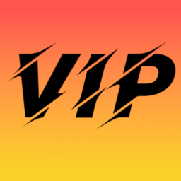 VIP Payment