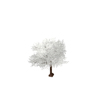 Small Winter Tree