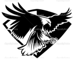 Hawksters FC