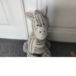 SAVE THE ZEBRAS