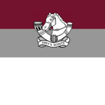 Grey's Scouts