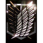 Sunnyy regiment