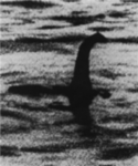 Cryptozoology