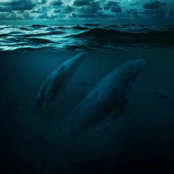 Megalohydrothalassophobia.