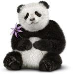Jessie's Pizza (Roleplay) GROUP