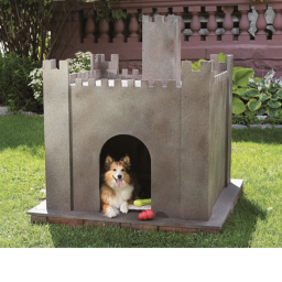Dog Castle Hangout