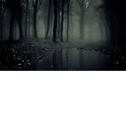 Depth