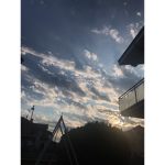 Honny_276