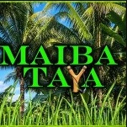 Maiba Taya [Hide and Seek] icon