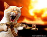 Kitteh Assault Team (K.A.T.)
