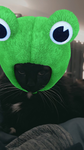 KittyCuteeeeeeeeeeeeeeeeeeeeeeeeeeeeeeeeeeeeeeeeee