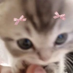 Michu ୨୧ Group Thumbnail