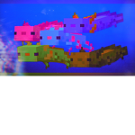 - Axolotl borderline -