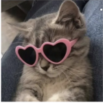 be cute to join