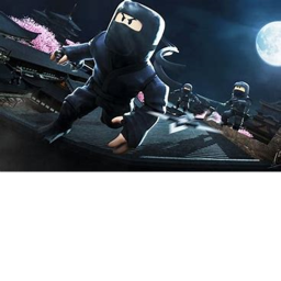 Ninja hangout (BETA)
