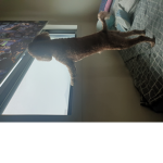 김완석