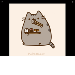 Cat37pro