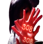 .308.