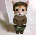 Dexter_dev0