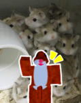 The hamster people (epic)