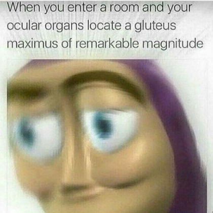 Meme Roblox decal
