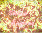Shine Anyway