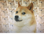 Dog Dog fan group