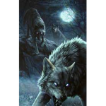 kittens and alphas